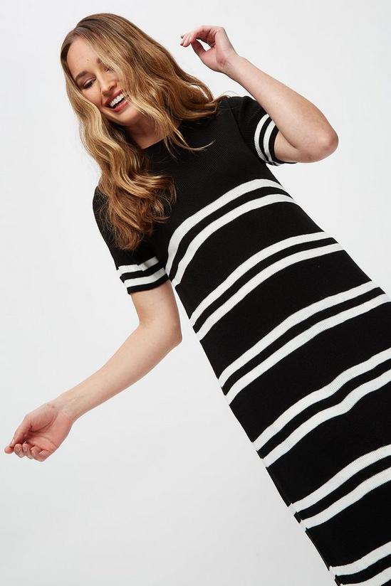 Dorothy Perkins Knitted Short Sleeve Striped Dress 1
