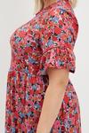 Dorothy Perkins Curve Multi Floral Frill Sleeve Mini Dress thumbnail 4