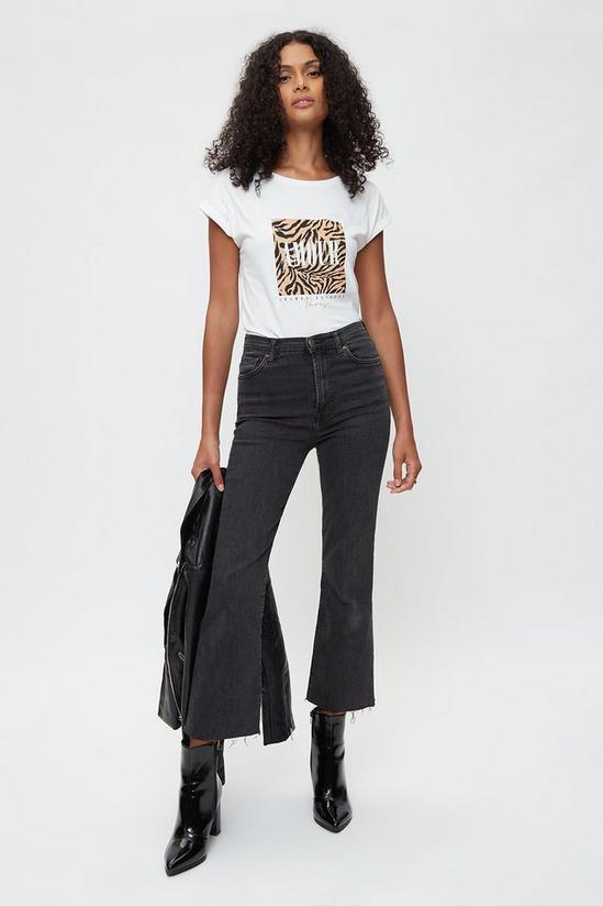 Dorothy Perkins Amour T Shirt 2