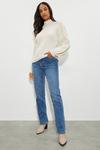 Dorothy Perkins High Neck Cable Sleeve Knitted Jumper thumbnail 2