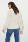 Dorothy Perkins High Neck Cable Sleeve Knitted Jumper thumbnail 3