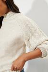 Dorothy Perkins High Neck Cable Sleeve Knitted Jumper thumbnail 4