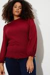 Dorothy Perkins Curve Shirred Cuff Textured Jersey Top thumbnail 1