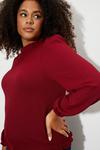 Dorothy Perkins Curve Shirred Cuff Textured Jersey Top thumbnail 4