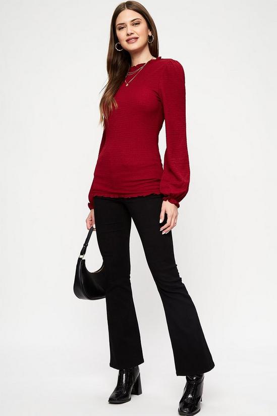 Dorothy Perkins Tall Shirred Cuff Textured Jersey Top 2