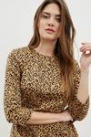 Dorothy Perkins Tall Camel Leopard Ponte Fit And Flare Dress thumbnail 4