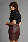 Dorothy Perkins Petite Berry Faux Leather Skirt thumbnail 3