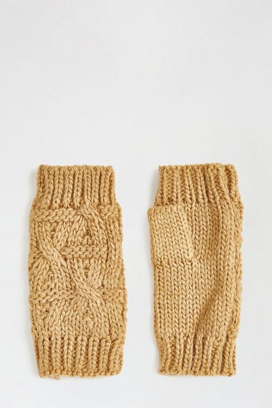Dorothy Perkins Cable Knitted Arm Warmers 2
