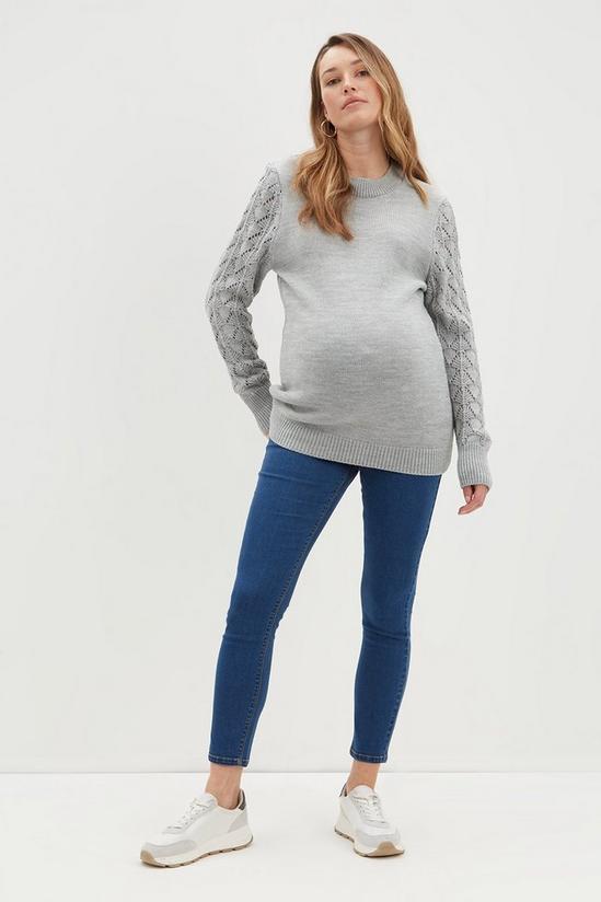 Dorothy Perkins Maternity Textured Sleeve Knitted Jumper 2