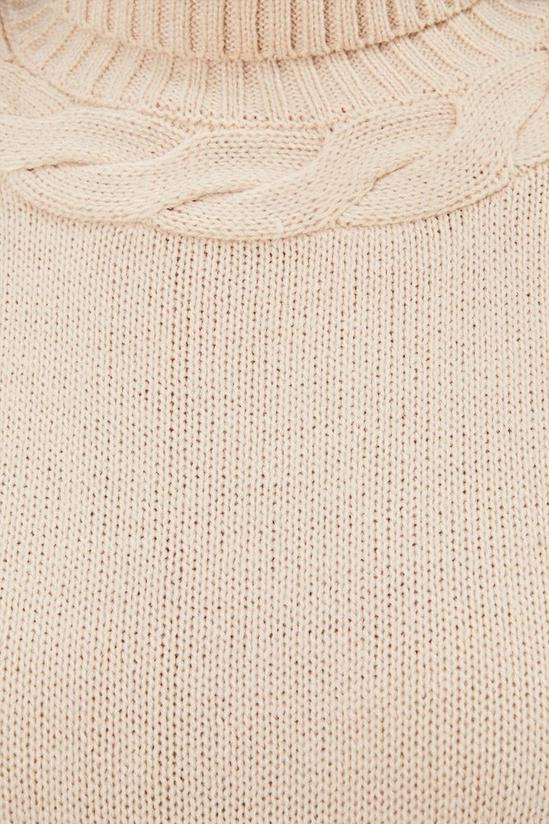 Dorothy Perkins Cable Roll Neck Jumper 5