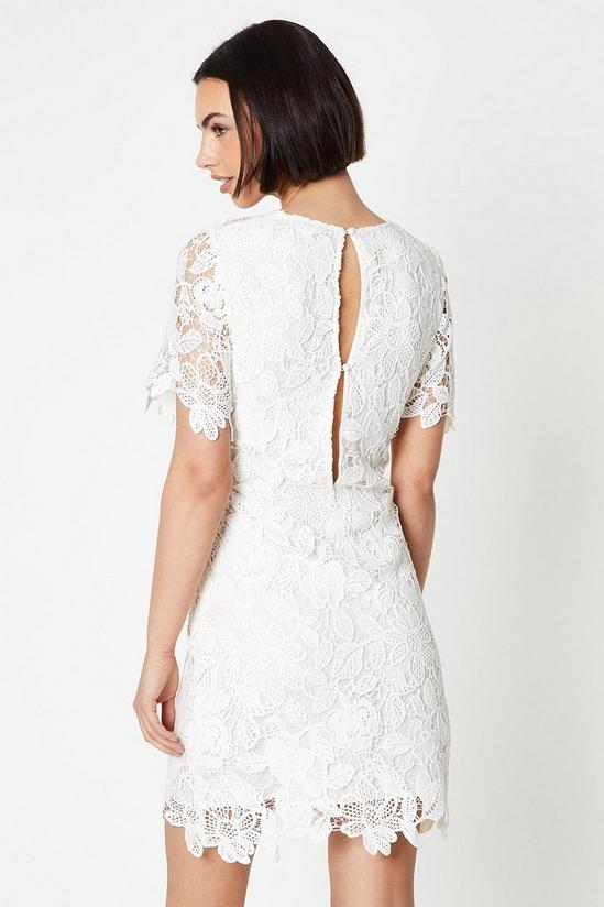 Oasis Occasion Lace Short Sleeve Mini Dress 3