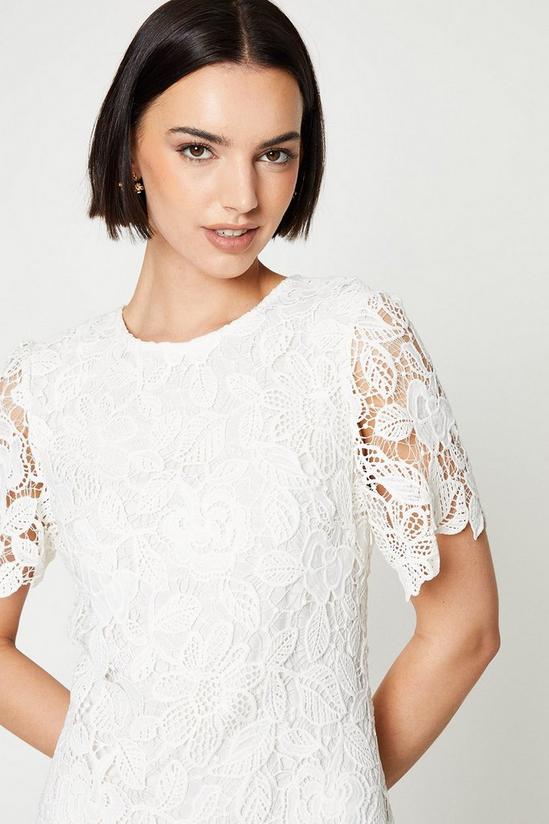Oasis Occasion Lace Short Sleeve Mini Dress 4