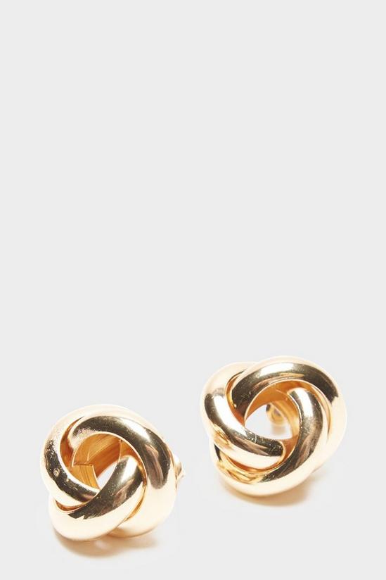 Dorothy Perkins Gold Twisted Stud Earrings 2