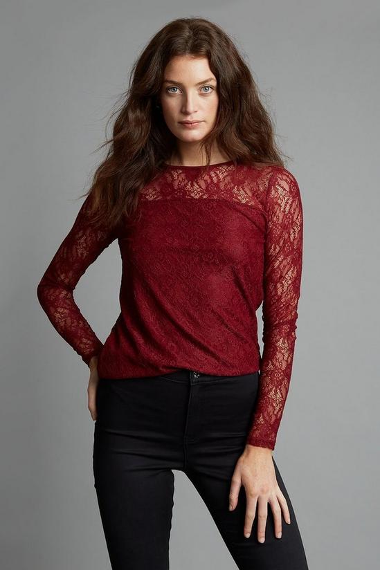Dorothy Perkins Tall Berry Long Sleeve Lace Top 1