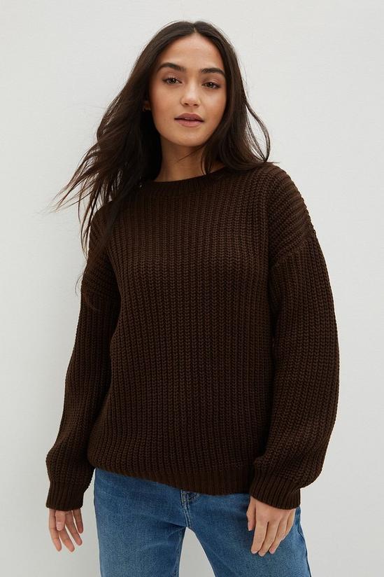 Dorothy Perkins Petite Brown Chunky Crew Neck Knitted Jumper 4