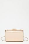 Dorothy Perkins Rose Structured Box Clutch thumbnail 2