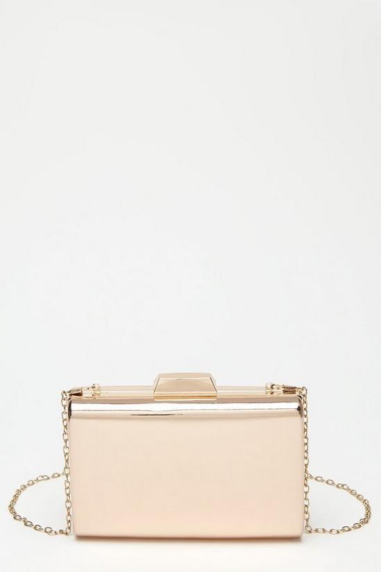 Dorothy Perkins Rose Structured Box Clutch 2