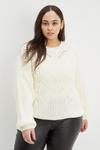 Dorothy Perkins Curve Chunky Cable Knitted Jumper thumbnail 1