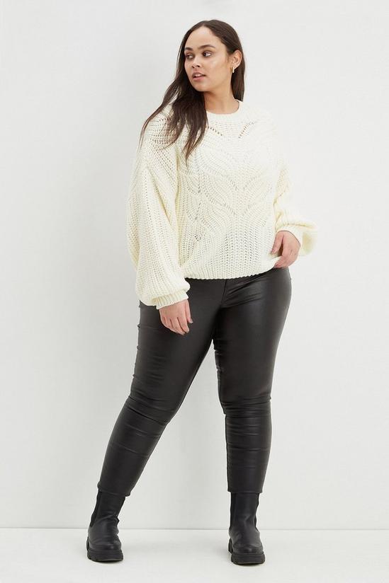 Dorothy Perkins Curve Chunky Cable Knitted Jumper 2