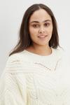 Dorothy Perkins Curve Chunky Cable Knitted Jumper thumbnail 4