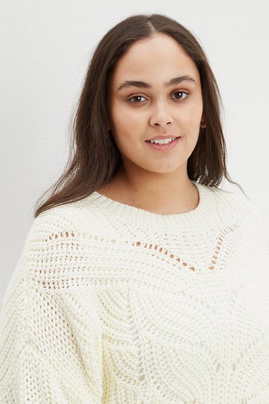 Dorothy Perkins Curve Chunky Cable Knitted Jumper 4