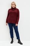Dorothy Perkins Curve Knitted Roll Neck Jumper thumbnail 2