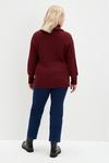 Dorothy Perkins Curve Knitted Roll Neck Jumper thumbnail 3