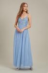Dorothy Perkins Embellished Strappy Tulle Maxi Dress thumbnail 2