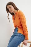 Dorothy Perkins Pointelle Button Knitted Shirt thumbnail 1