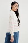 Dorothy Perkins Petite Striped Chunky Knitted Jumper thumbnail 3