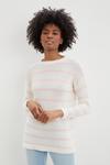 Dorothy Perkins Tall Striped Chunky Knitted Jumper thumbnail 1