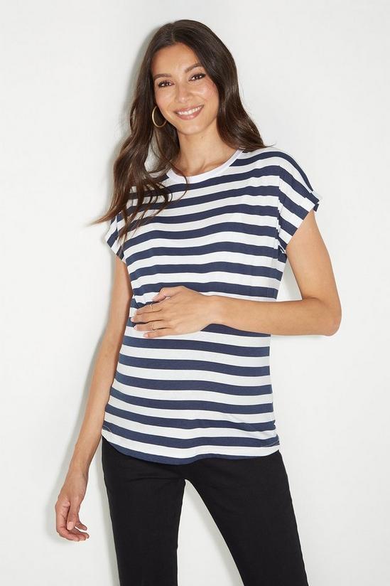 Dorothy Perkins Maternity Stripe Roll Sleeve T Shirt 1