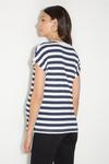 Dorothy Perkins Maternity Stripe Roll Sleeve T Shirt thumbnail 3