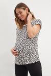 Dorothy Perkins Maternity Animal Roll Sleeve T Shirt thumbnail 1
