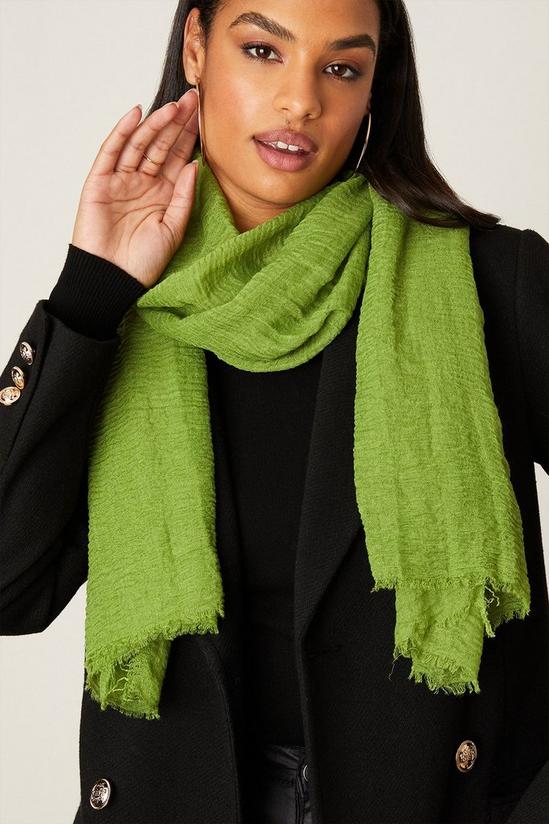 Dorothy Perkins Green Textured Scarf 1