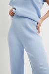 Dorothy Perkins Petite Knitted Trousers thumbnail 4