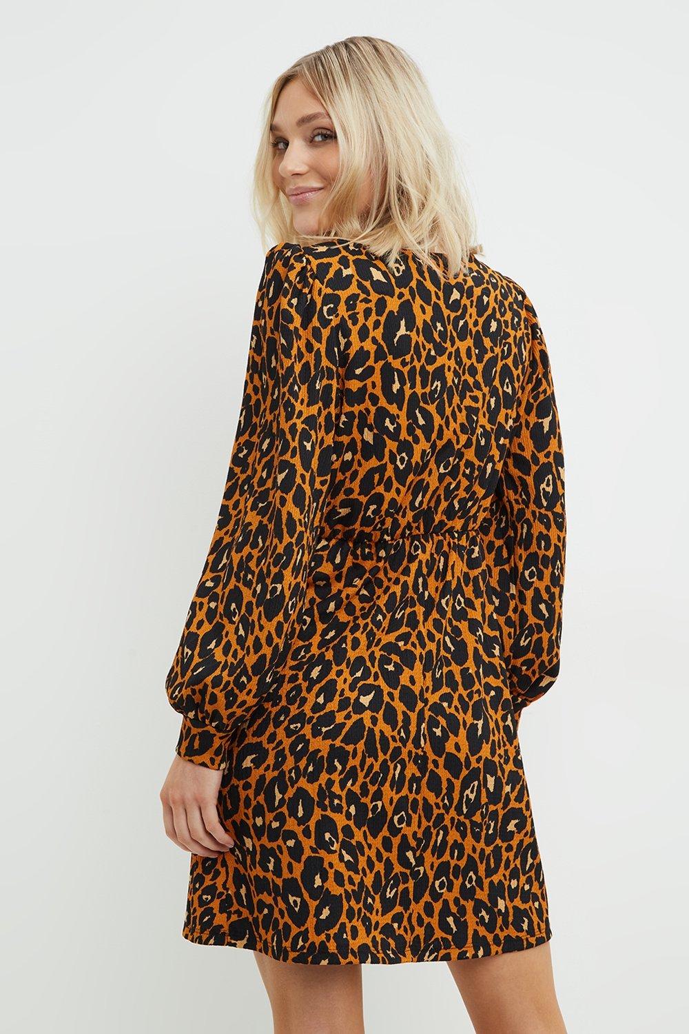 Dorothy perkins best sale animal print dress