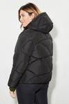 Dorothy Perkins Curve Short Padded Coat With Contrast Trims thumbnail 3