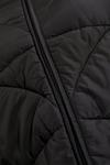 Dorothy Perkins Curve Short Padded Coat With Contrast Trims thumbnail 5