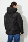 Dorothy Perkins Petite Short Padded Coat With Contrast Trims thumbnail 3