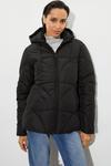 Dorothy Perkins Tall Short Padded Coat With Contrast Trims thumbnail 1