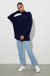 Dorothy Perkins Batwing High Neck Knitted Jumper thumbnail 2