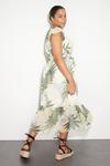 Dorothy Perkins Curve Green Tropical Ruffle Hem Midi Dress thumbnail 3