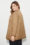 Dorothy Perkins Curve Contrast Detail Quilted Jacket thumbnail 3