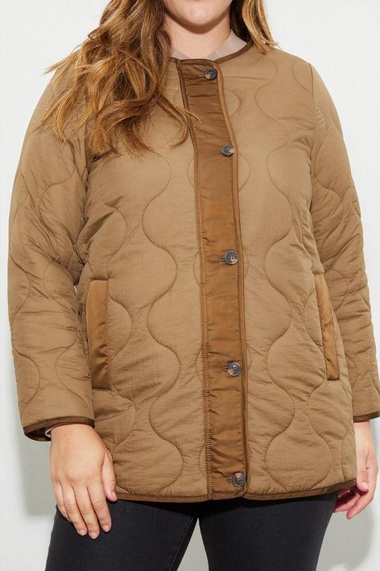 Dorothy Perkins Curve Contrast Detail Quilted Jacket 4