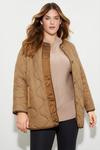 Dorothy Perkins Curve Contrast Detail Quilted Jacket thumbnail 6