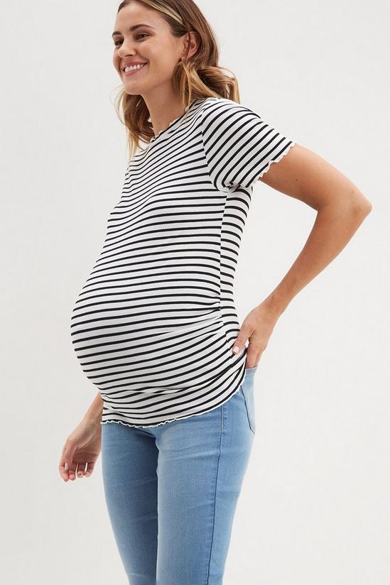 Dorothy Perkins Maternity White Stripe Short Sleeve T Shirt 1