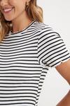 Dorothy Perkins Maternity White Stripe Short Sleeve T Shirt thumbnail 4