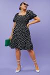 Dorothy Perkins Curve Black Spot Textured Shirred Mini Dress thumbnail 2