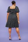 Dorothy Perkins Curve Black Spot Textured Shirred Mini Dress thumbnail 3